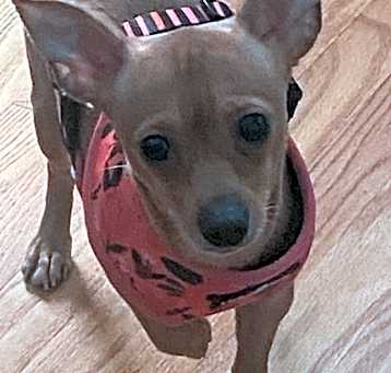 Photo of Leyla