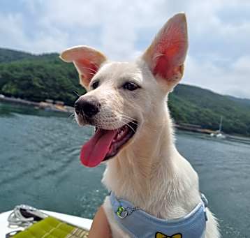 Photo of Claude