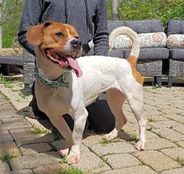 Photo of Zena