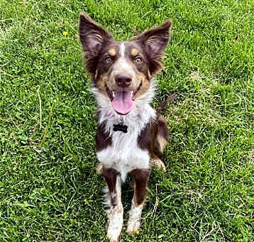 Photo of Calypso
