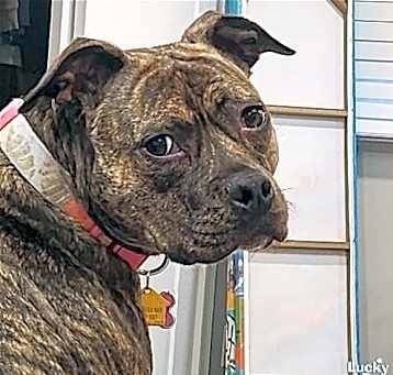 Photo of Nala Jean