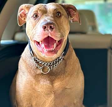 Photo of Zeus