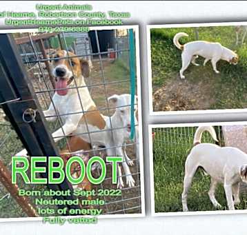 Photo of Reboot