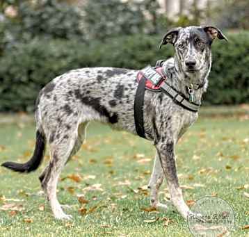 Photo of Fable