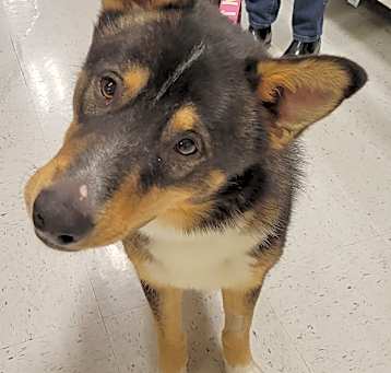 Photo of Kaiser