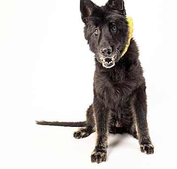 Photo of Collette