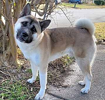 Photo of Cato