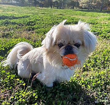 Photo of Kevin