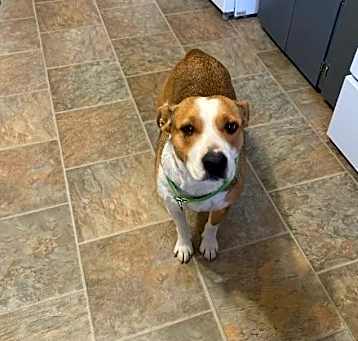 Photo of Daisy