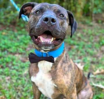 Photo of 2402-0335 Otis