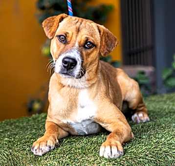 Photo of Mia