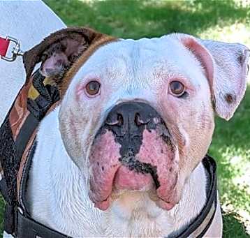 Photo of Hercules