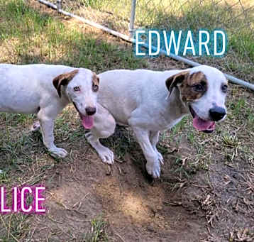 Photo of Edward