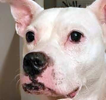 Photo of Baby Girl