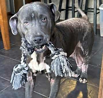 Photo of Ralphie