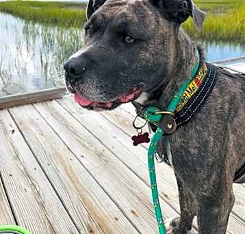 Photo of Bernadette in Gloucester VA