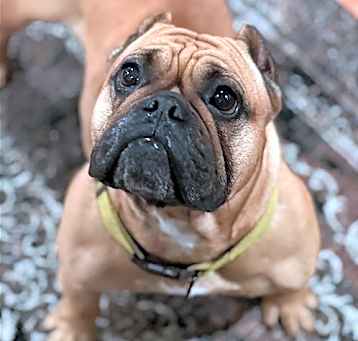 Photo of Honey