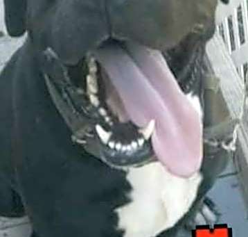 Photo of BODHI