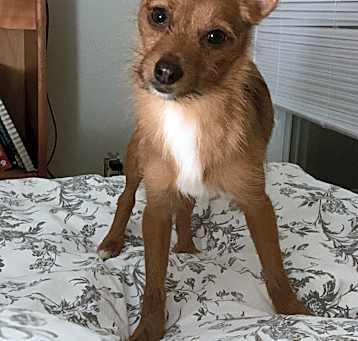 Photo of Motley