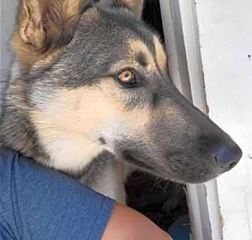 Photo of Kai