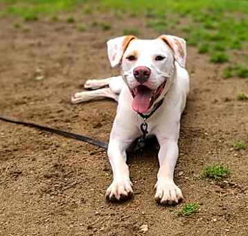Photo of Micah - 24033