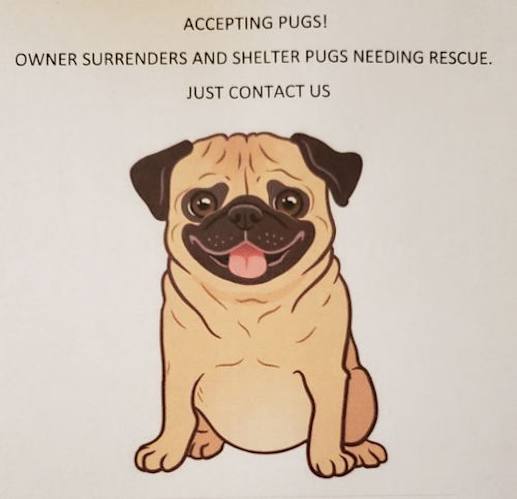 Urgent Transport Needed For Erick - Instagram Can Be Fun For Anyone thumbnail