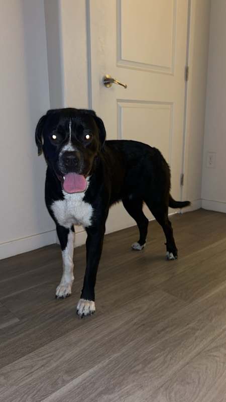 Photo of Remi #image