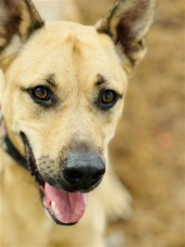 Photo of Rennie #image