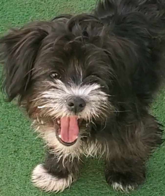 Photo of Baby Ella #image