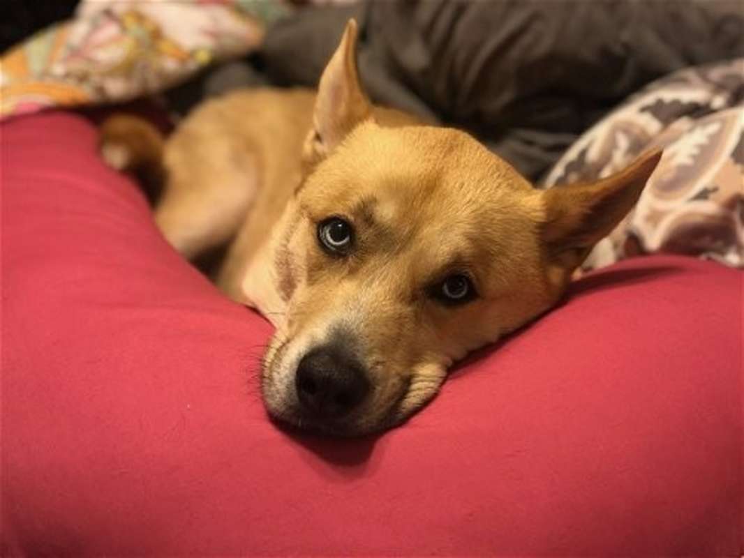 Photo of BANE (COURTESY POST) #image