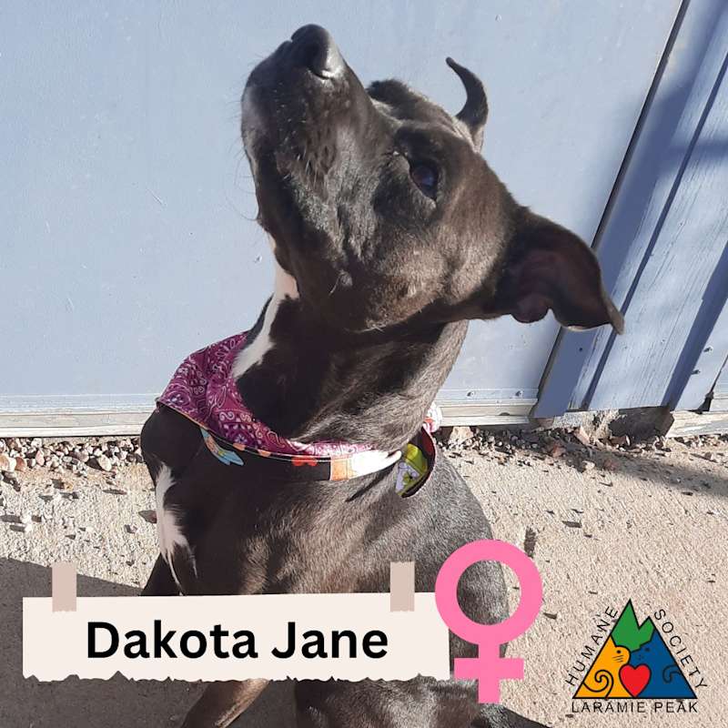 Photo of Dakota Jane #image
