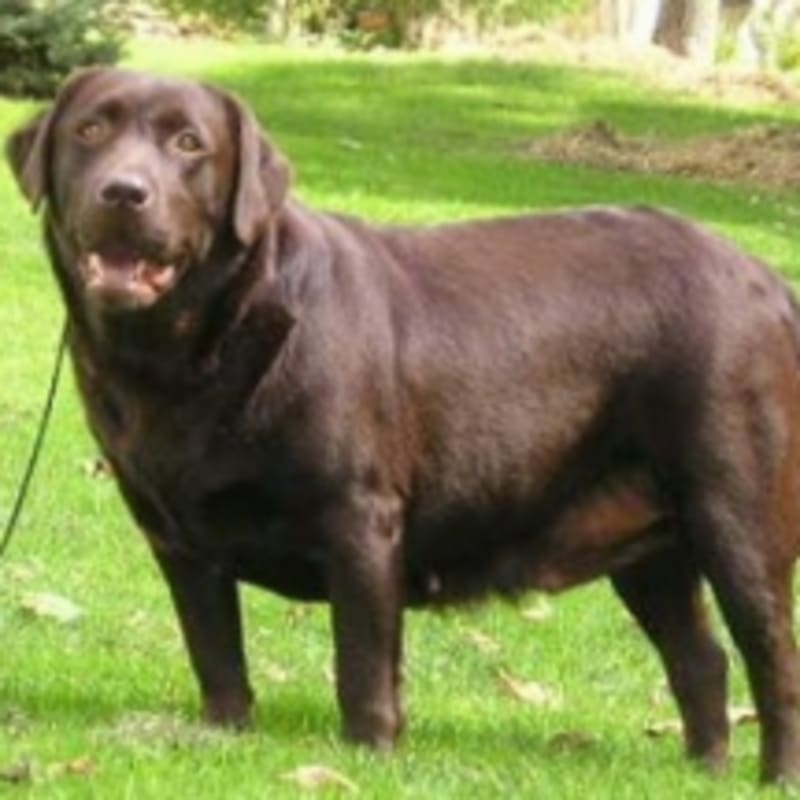 Photo of Edward #image