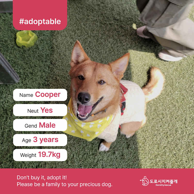 Photo of Cooper (D) #image