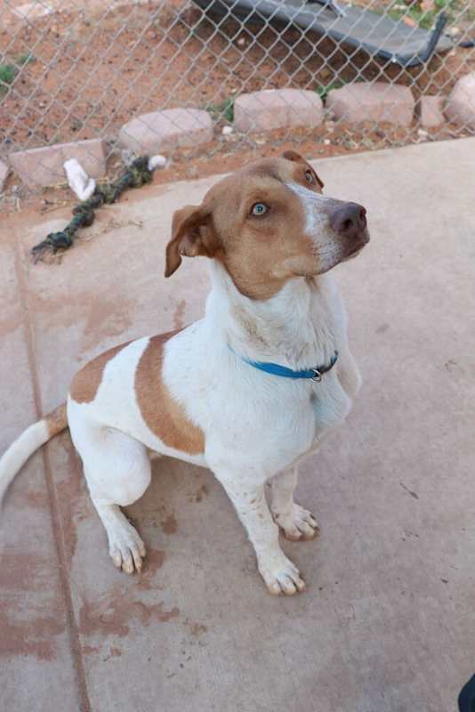 Photo of Whitman #image