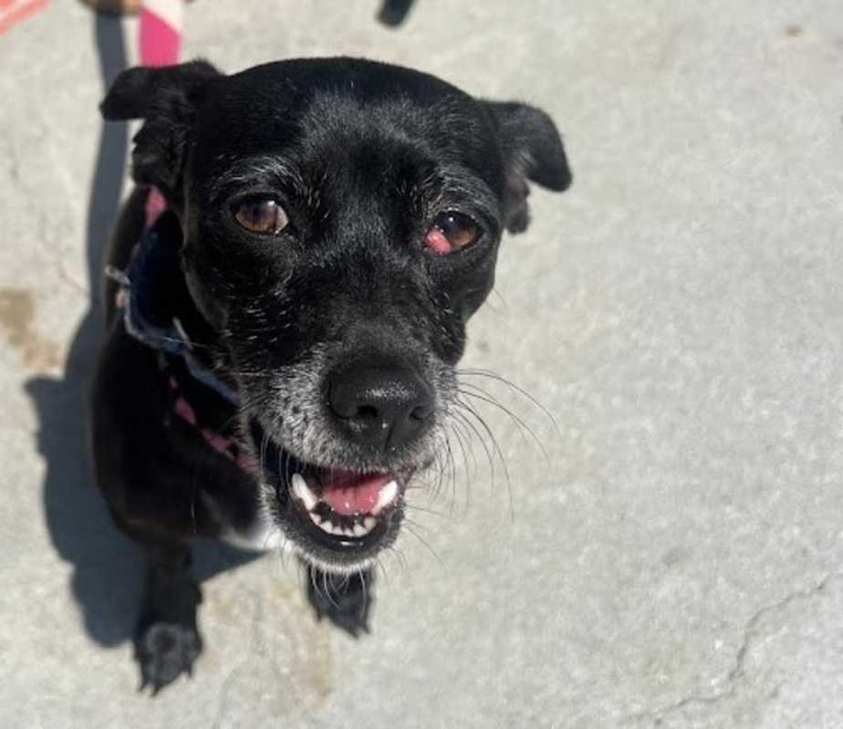 Photo of Minnie #image