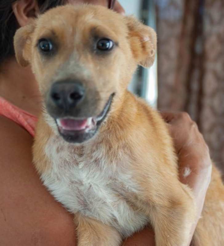 Photo of Julio #image