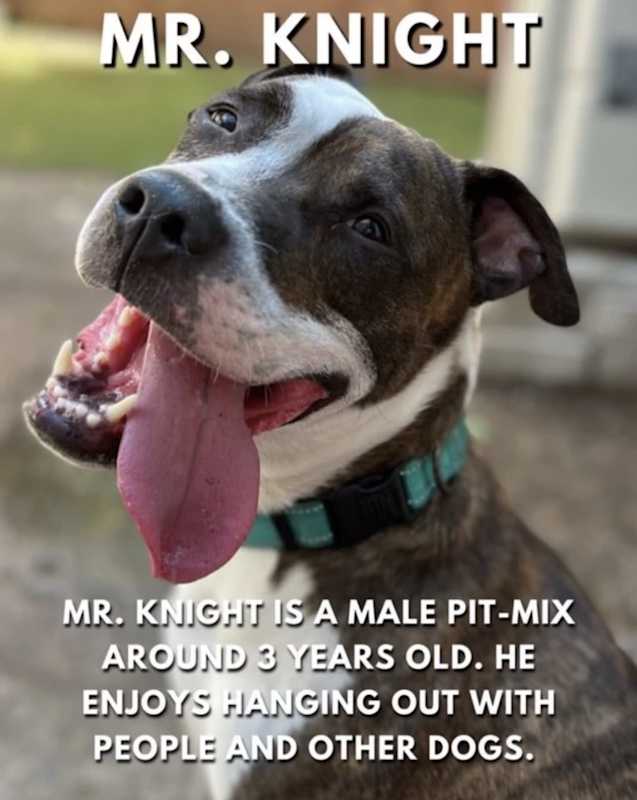 Photo of Mr. Knight #image