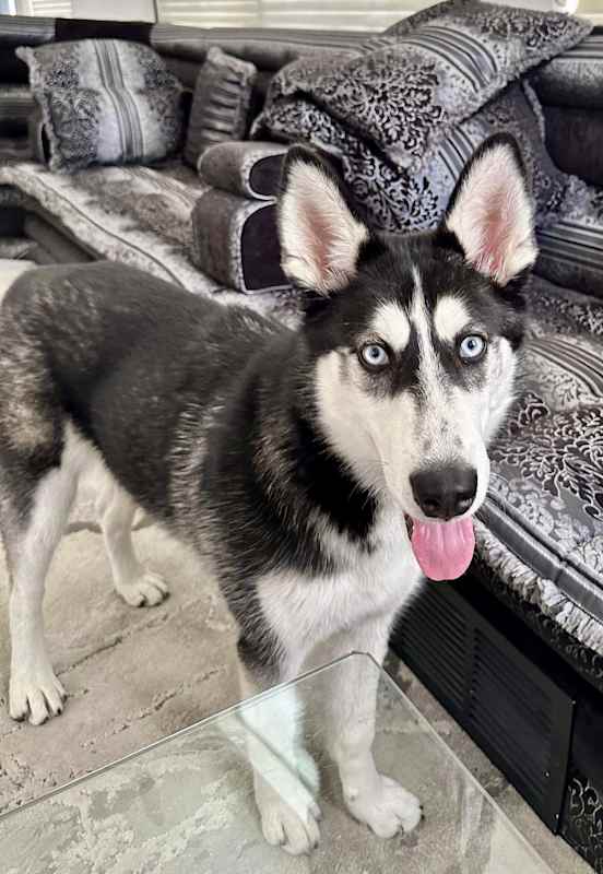 Photo of Aurora #image