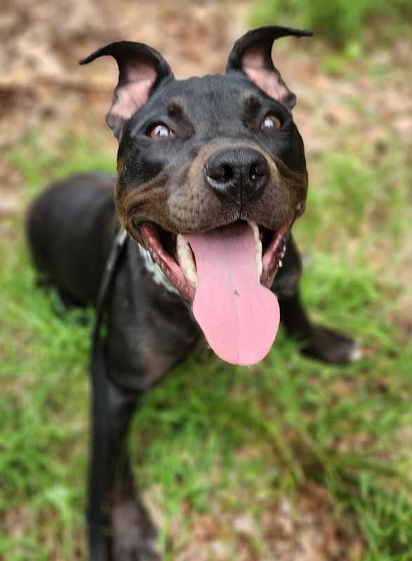 Photo of Batty #image