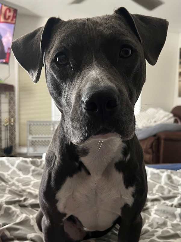 Photo of SASHA-SKY #image