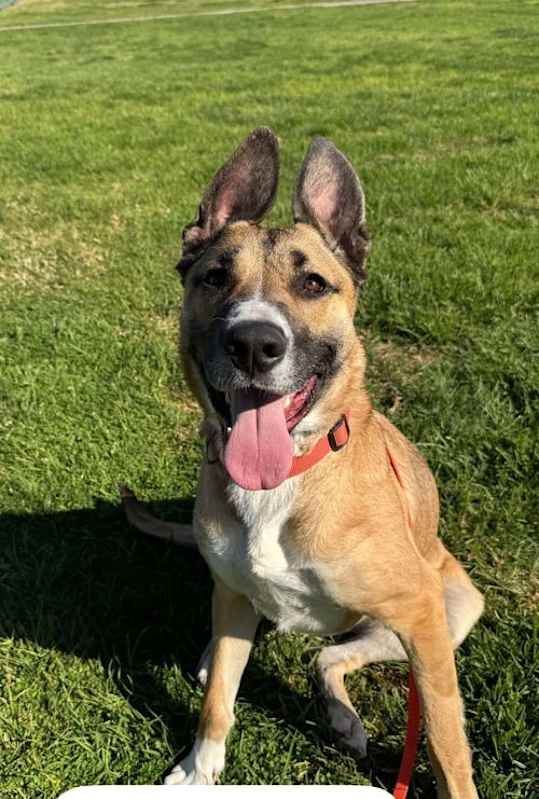 Photo of Ellie #image