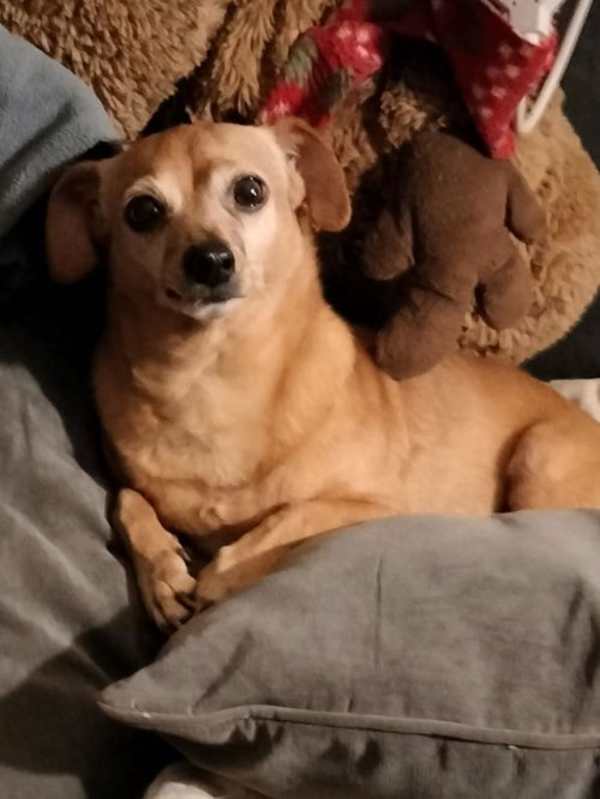 Photo of Ernie #image