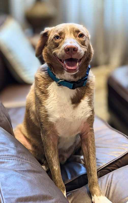 Photo of Tiberius Riker #image