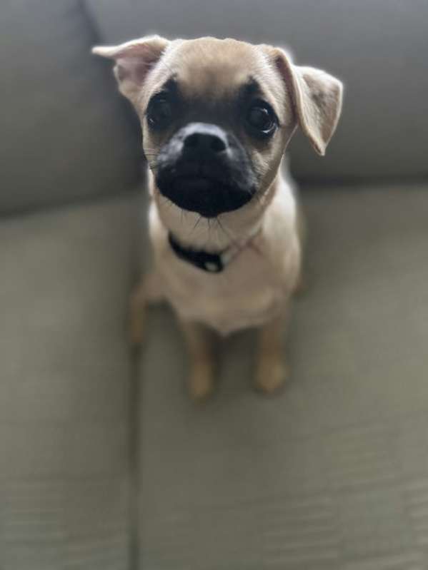 Photo of Spice #image
