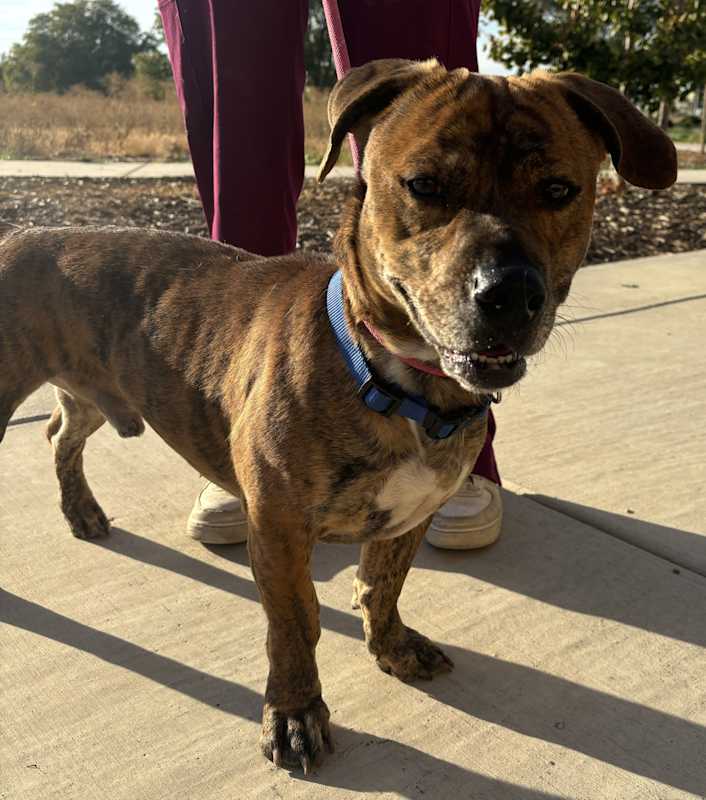 Photo of Benjamin #image