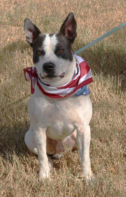 Photo of Buddy #image