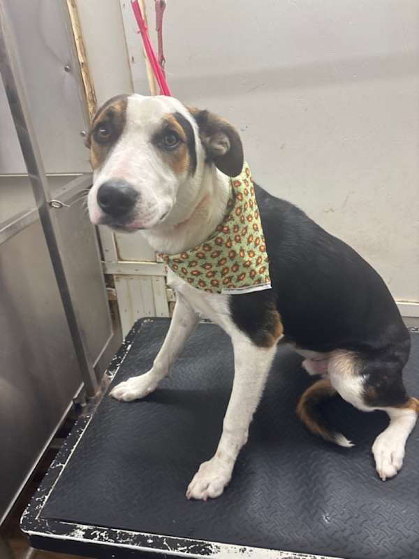 Photo of Harold (Harry) #image