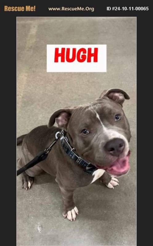 Photo of Hugh #image