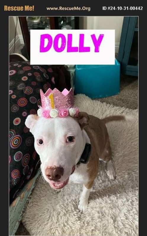 Photo of Dolly #image