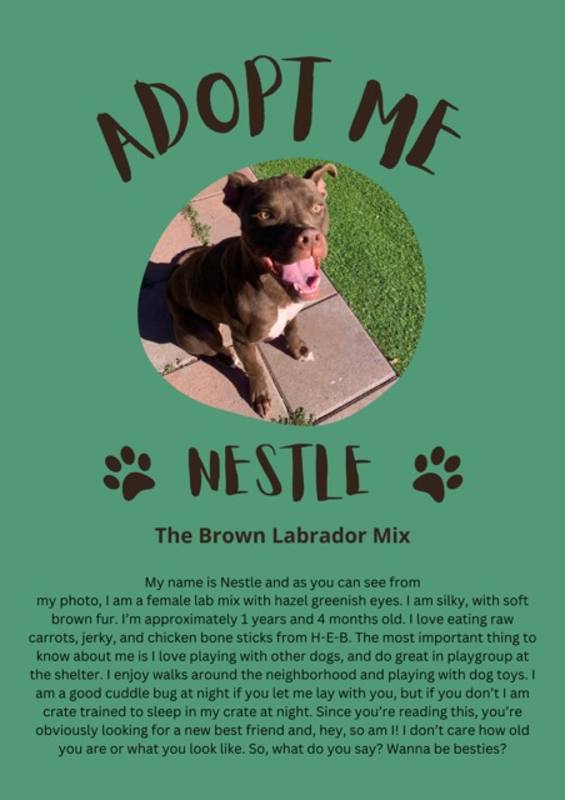 Photo of Nestle #image